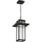 Quoizel Randall Outdoor Hanging Lantern RDL1909MB - alternate 3